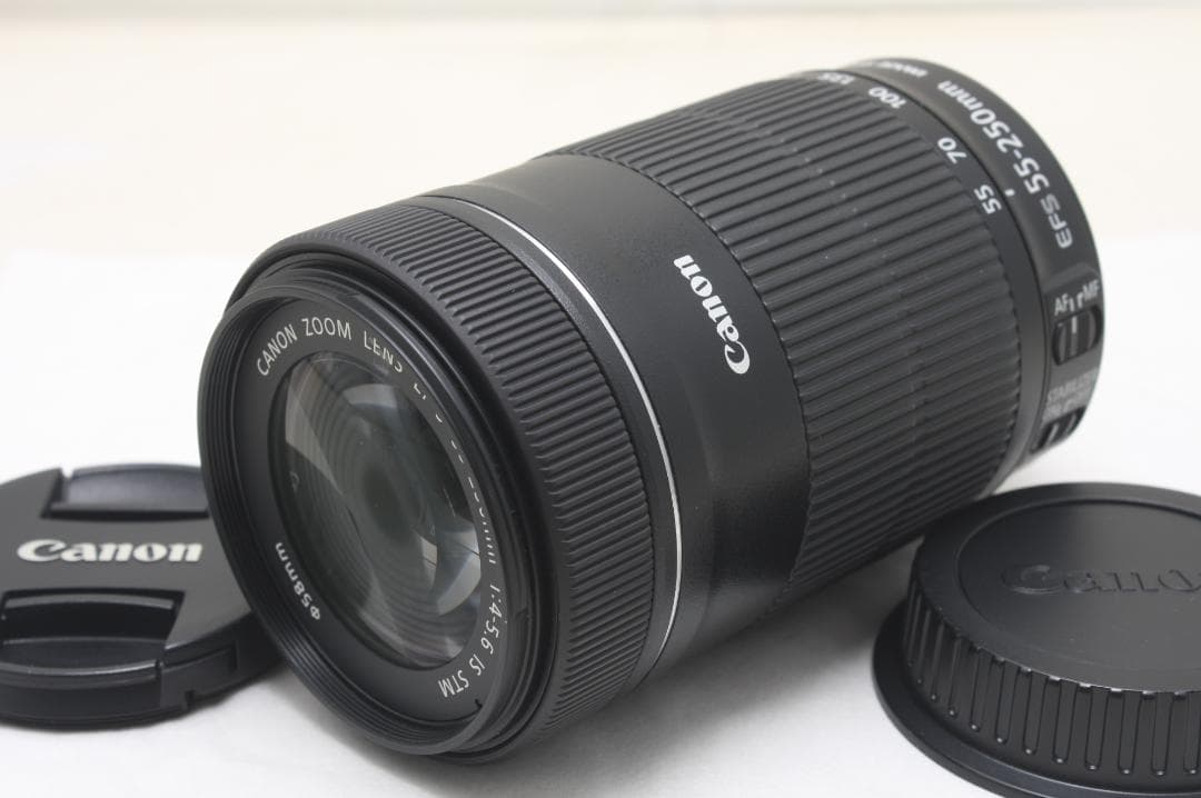 キヤノン EF-S 55-250mm F4-5.6 IS STM 3310