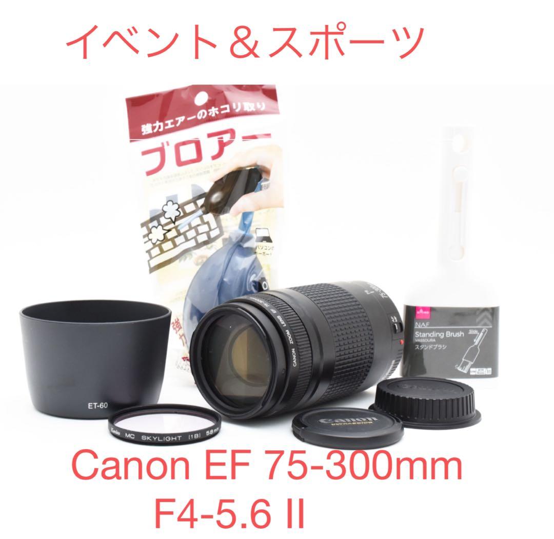 フード付き/望遠レンズ Canon EF 75-300mm F4-5.6 Ⅱ