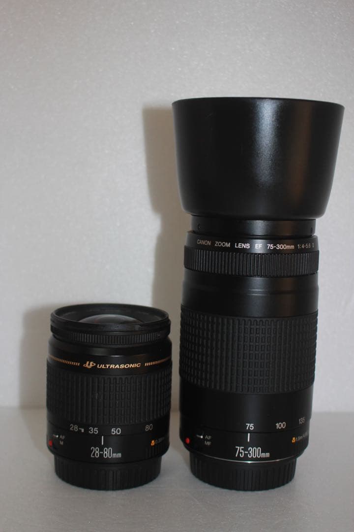 フード付き☆キャノン Canon EOS 80D標準&望遠ダブルレンズセット