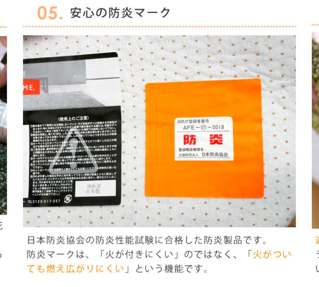 スミノエ ナイロンラグ リュストル 楕円形 140×200/防ダニ・防炎　高品質