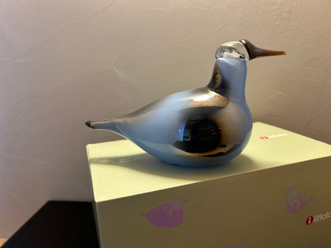  スカイカールー イッタラバード