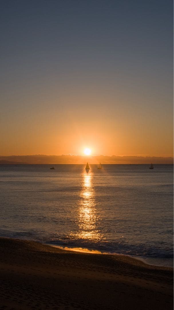 デジタルカメラ RICOH GR LENS A12 50mm F2.5 MACRO