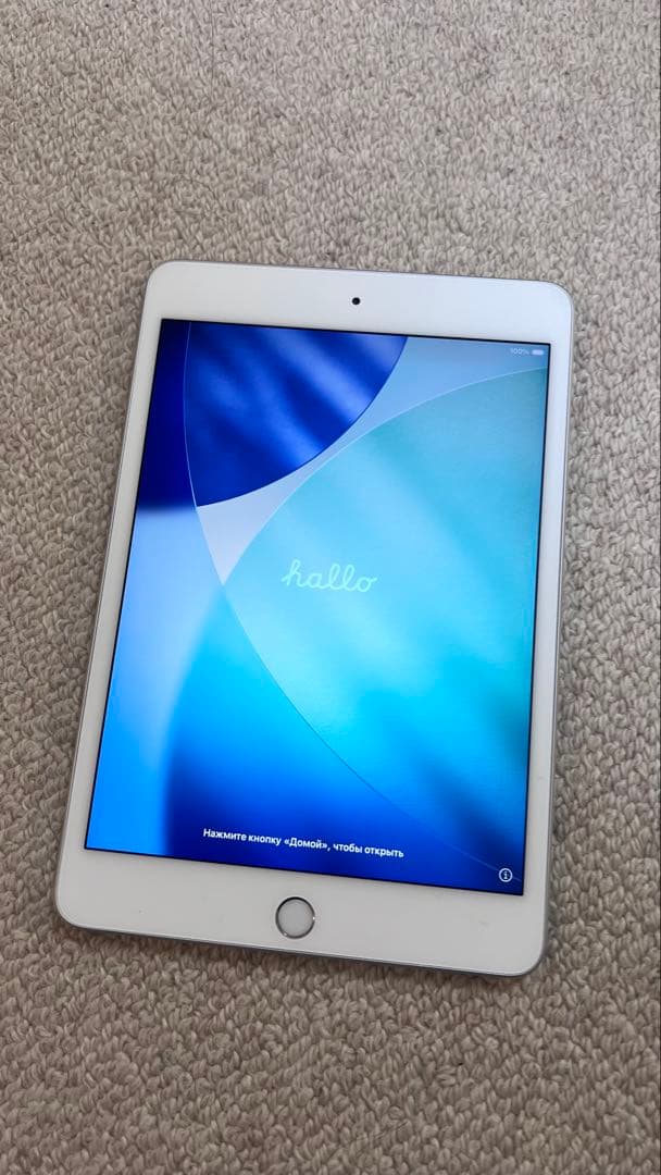 iPad mini 第5世代 256GB Wi-Fiモデル シルバー 本体