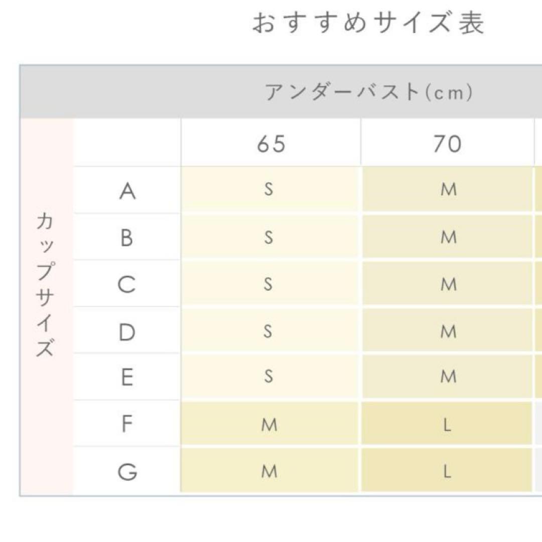 上下セット ブラデリスニューヨーク 空条徐倫 ブラセット ジョジョコラボ S
