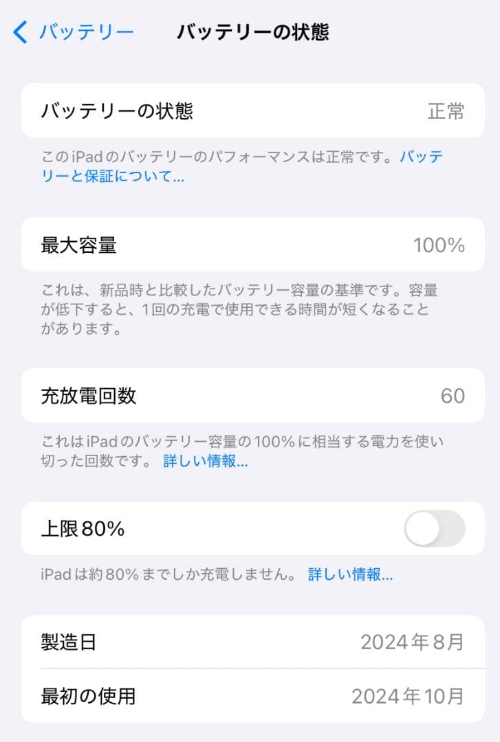 iPad mini A17 Pro Wi-Fi 256GB バッテリー100%