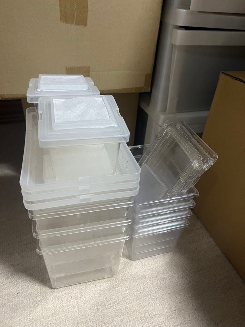 昆虫飼育ケース 複数セット