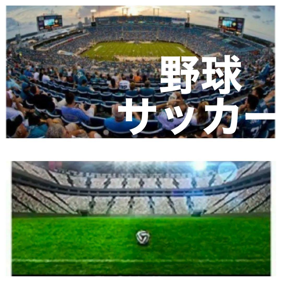 値上げ直前！Nikon 一眼レフ対応の望遠レンズ！MF初心者でもサポートします！