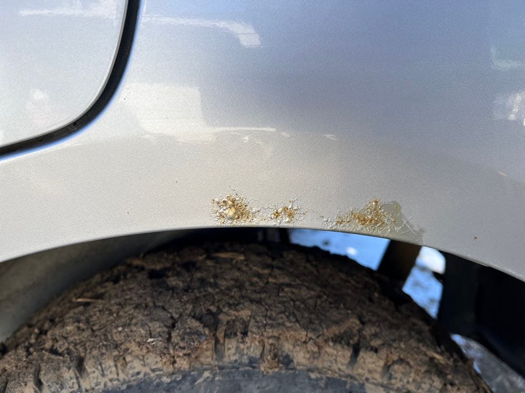 スズキアルト　MT★車検令和8年7月★2WD