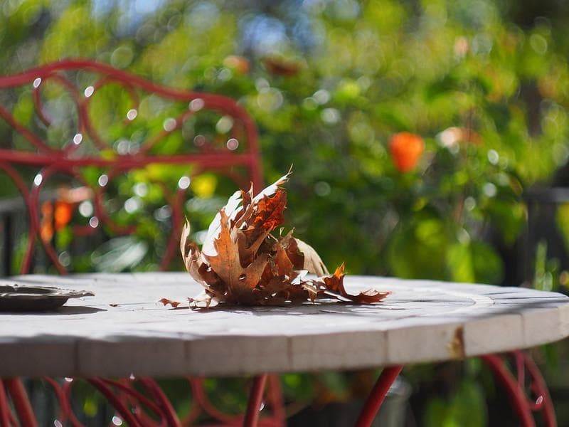 5　デッドストック　ぐるぐるボケレンズ　ヘリオス　44-2　M42アダプター付