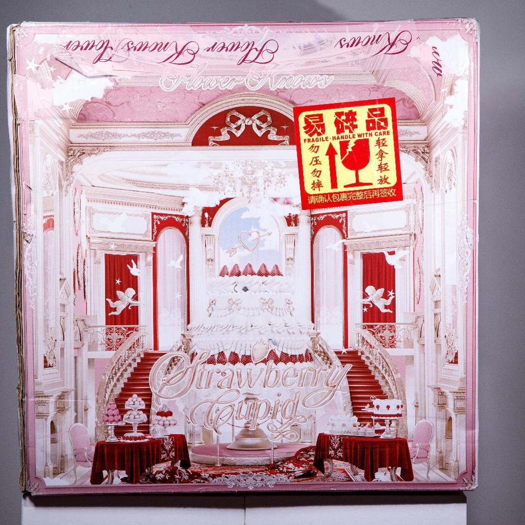 FlowerKnows ストロベリーキューピーコレクションケース