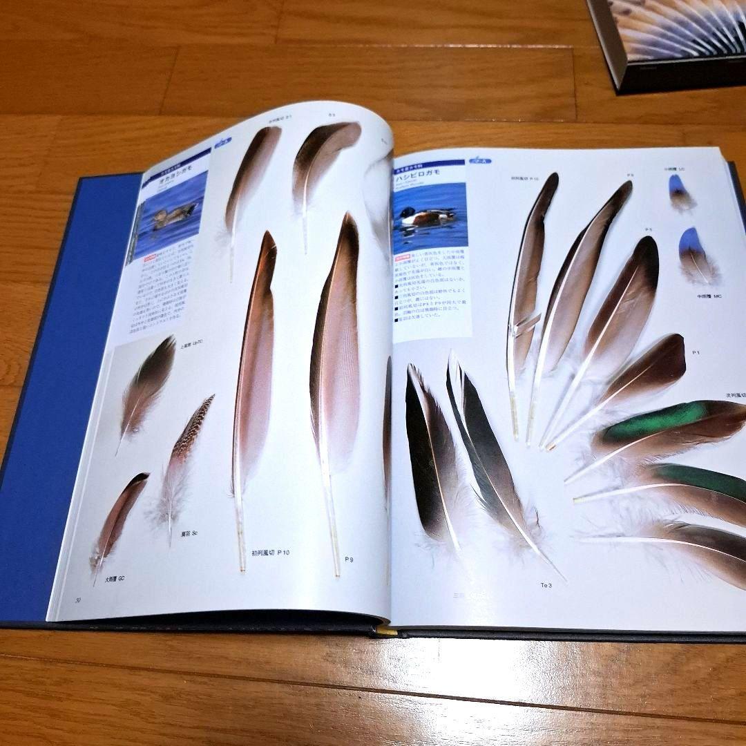 羽 原寸大写真図鑑　高田勝/著 叶内拓哉/著　ポスター付録付き