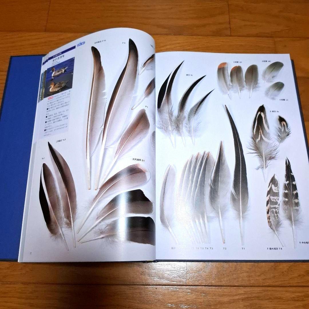 羽 原寸大写真図鑑　高田勝/著 叶内拓哉/著　ポスター付録付き