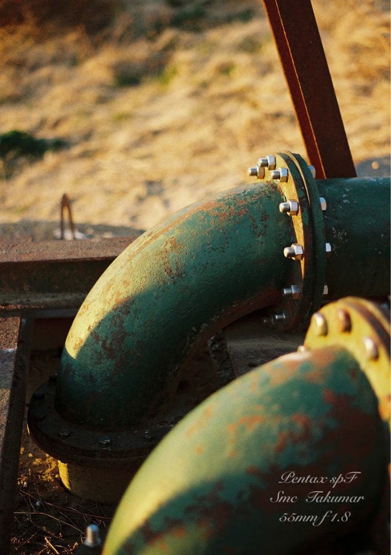 試写作例多数★pentax spf★リザード本革グリーン★美品＊完動品＊初期保証