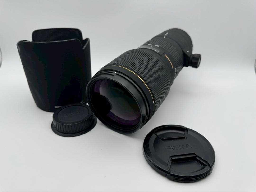 【SIGMA】EX APO DG 100-300mm F4 HSM CANON用