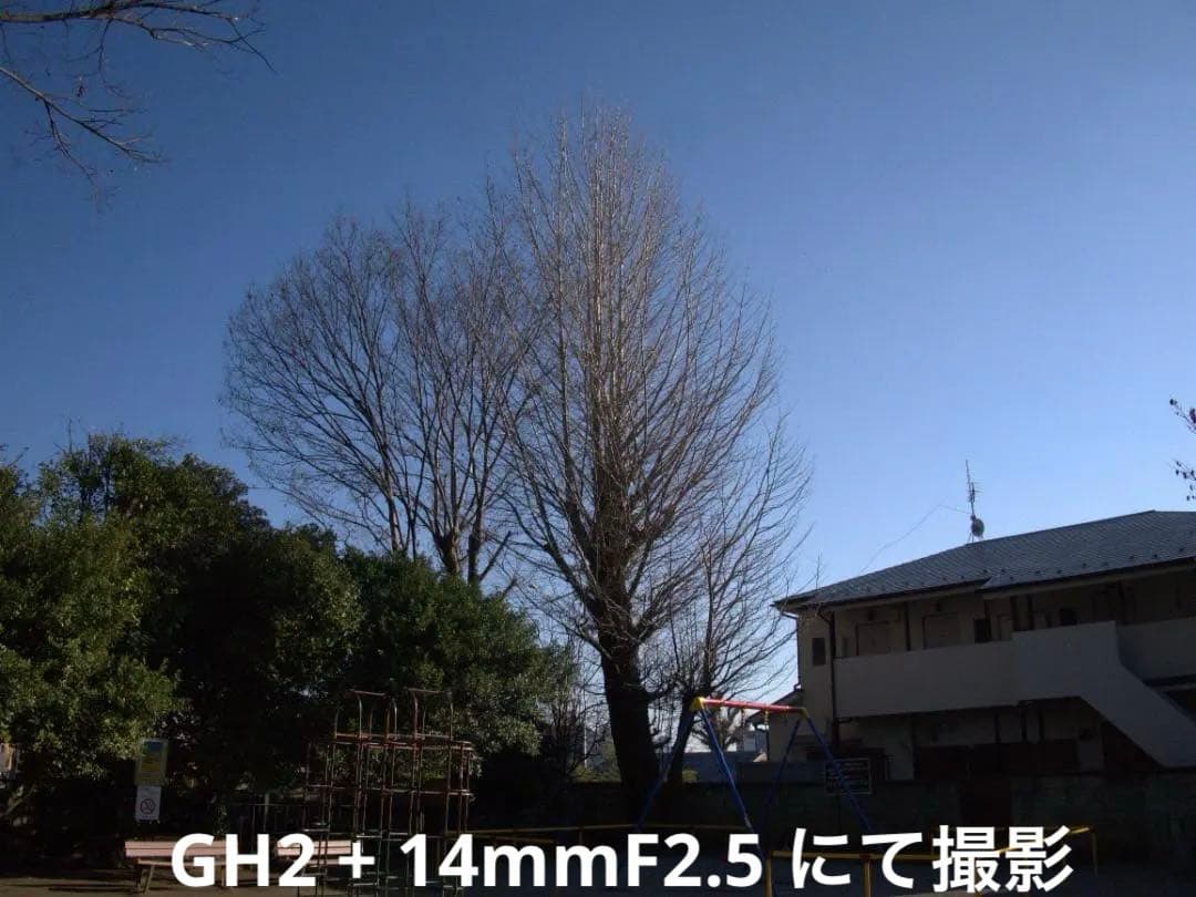 【美品/光学クリア】LUMIX G 14mm F2.5 ASPH. パンケーキ