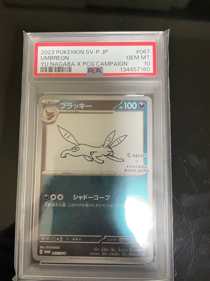【極美品PSA 10】 ブラッキー 2023 POKEMON SV-P JP