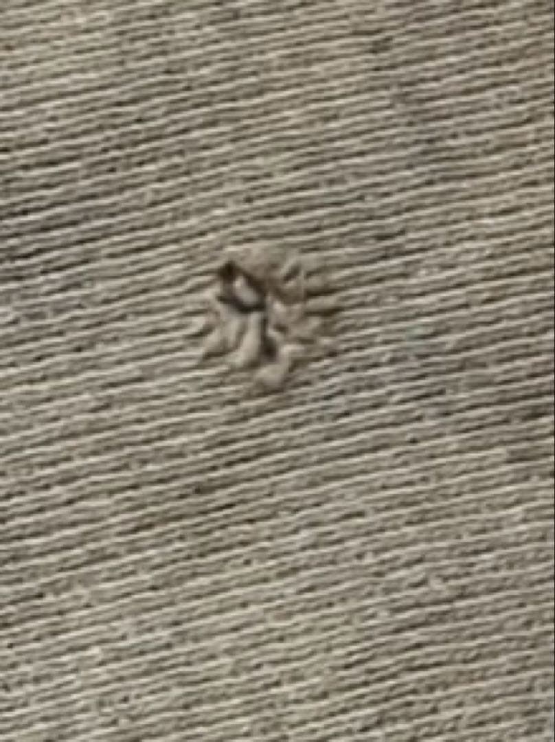 90s USA製 チャンピオン リバースウィーブ　Lサイズ マスタード