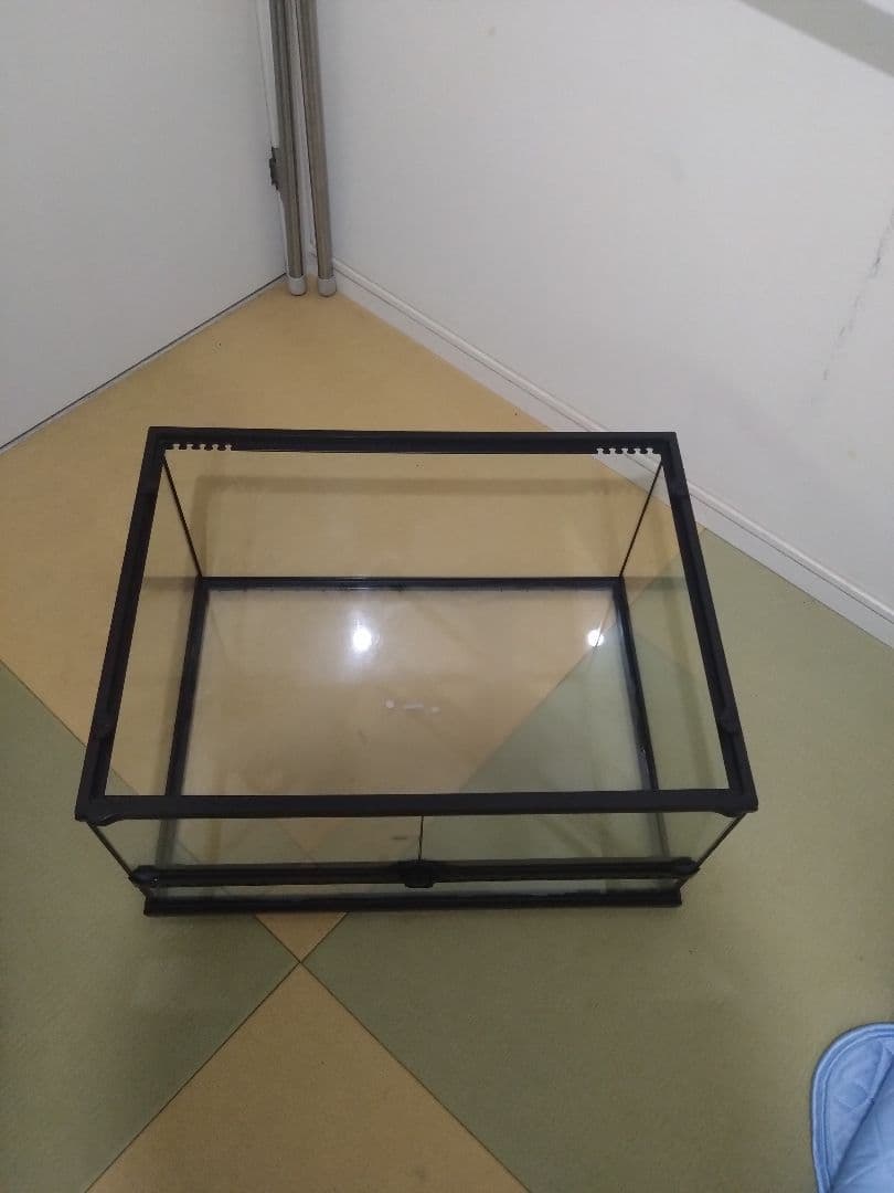 発送不可。 グラステラリウム6030 エキゾテラ　爬虫類飼育ケージ