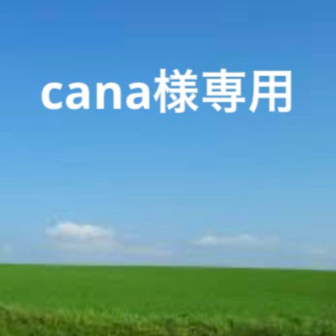 未使用IL BISONTEイルビゾンテ レザーラウンド長財布　チョコ　濃茶