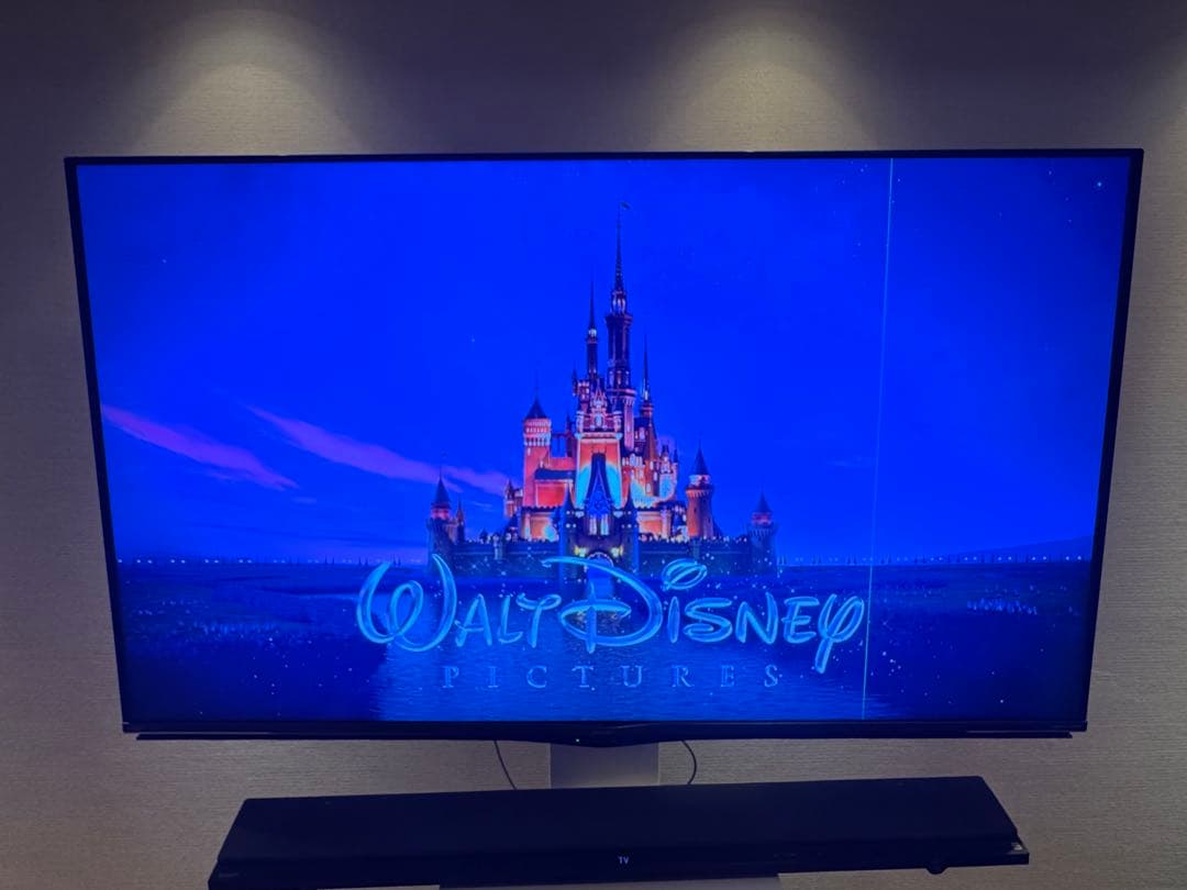 【訳あり】AQUOS 60インチテレビ