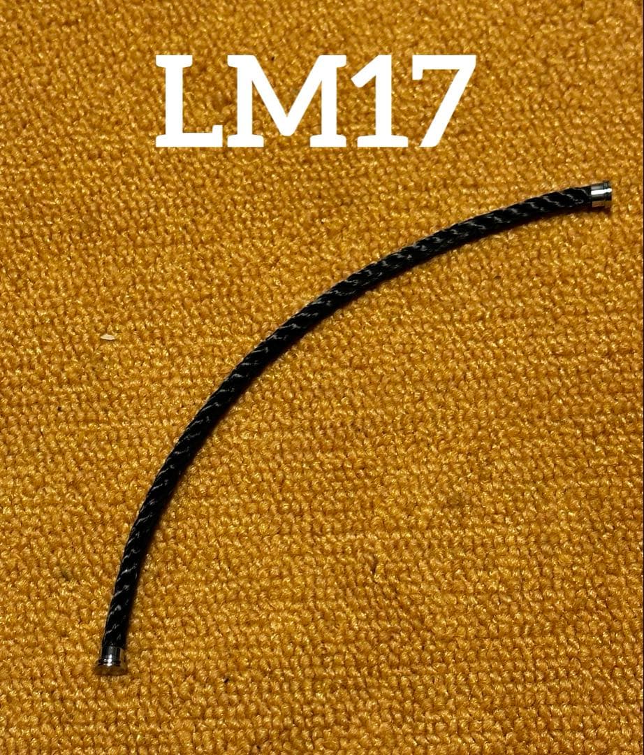 フレッド　Fred LM17 ブラック　フォース10