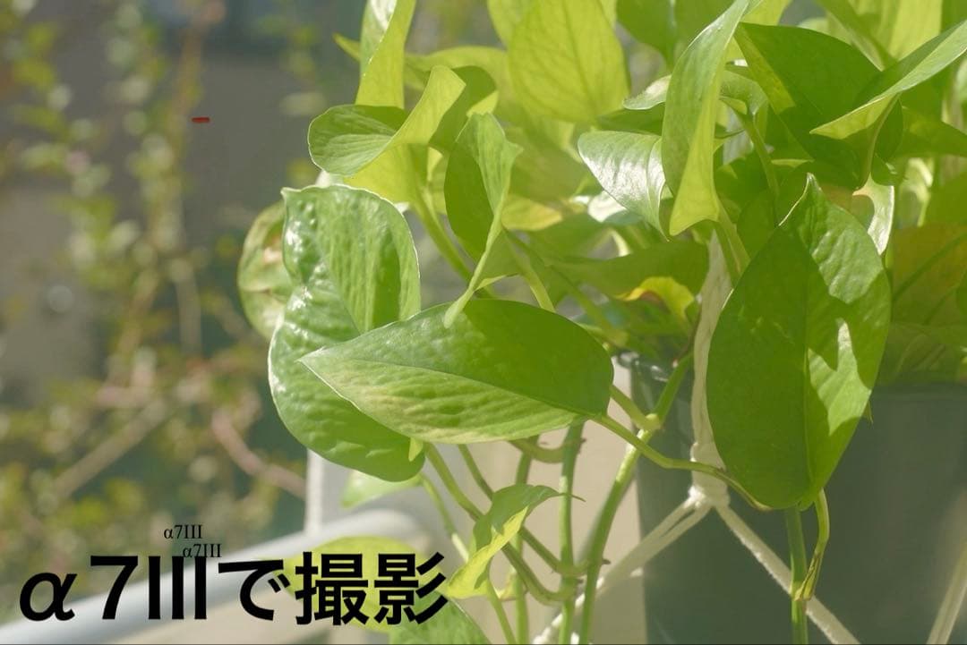 ライカ Leica ズマリット 5cm/1.5