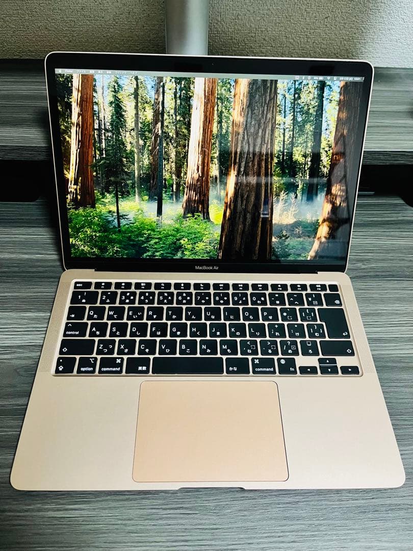 【美品】M1 MacBook Air 13インチ ゴールド 16GBメモリ