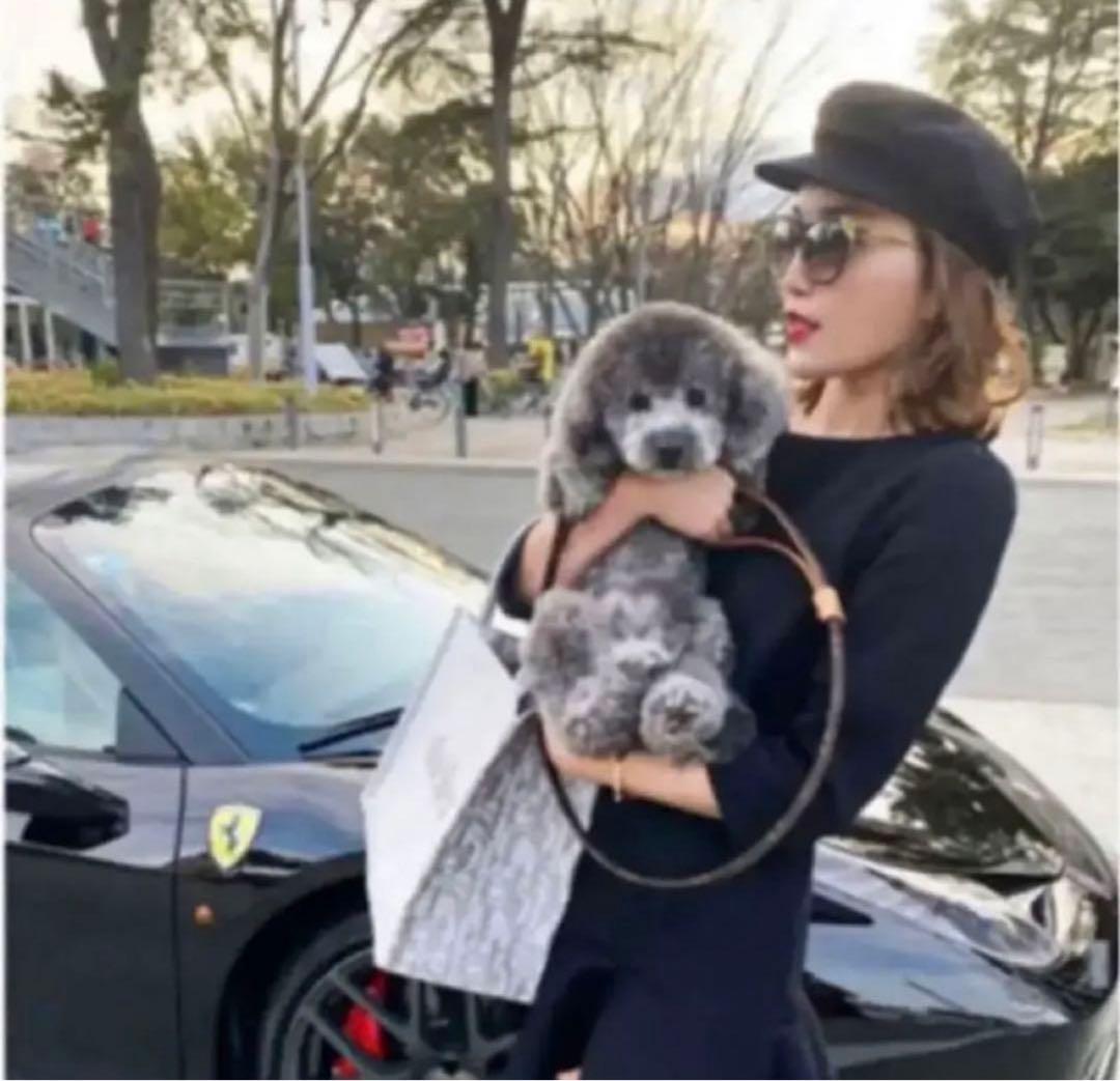 シェリエ sheller バックZIPスウェットワンピース