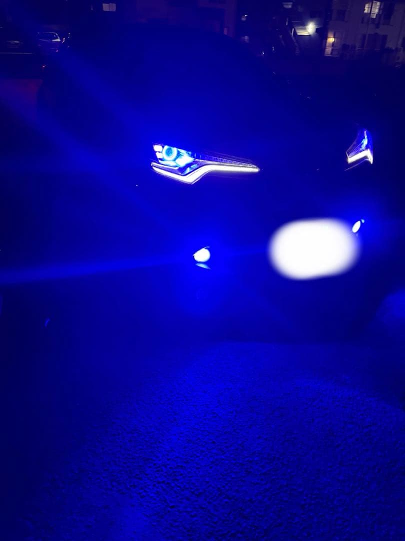 新品 VELENO LEDフォグランプ H8 H11 H16