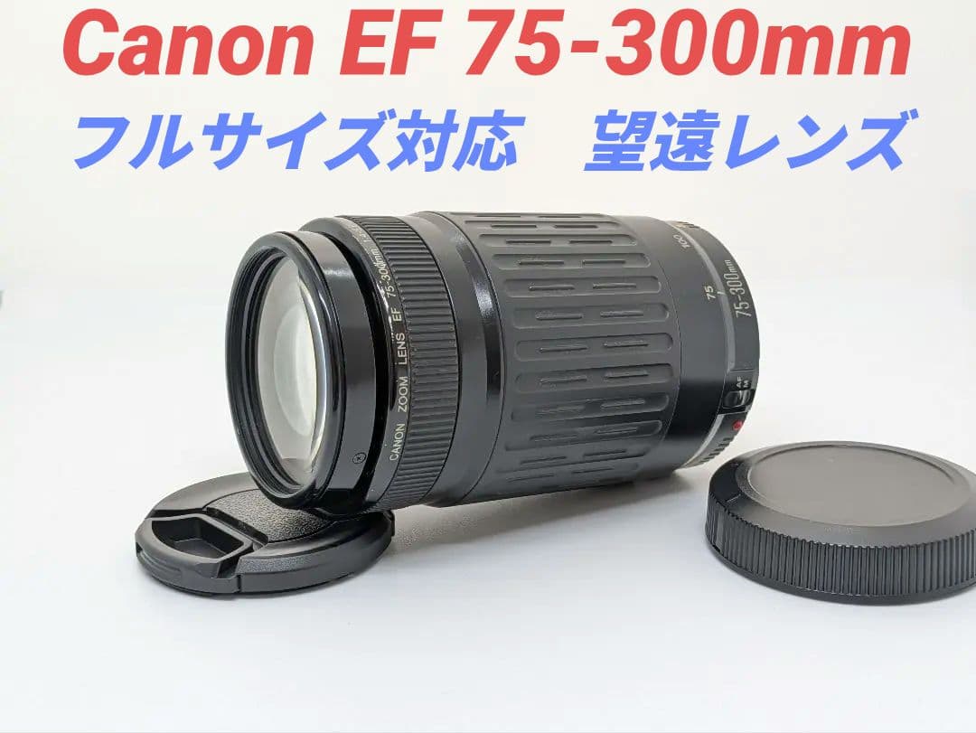 2月3日限定販売♪【超望遠レンズ】Canon EF 75-300mm