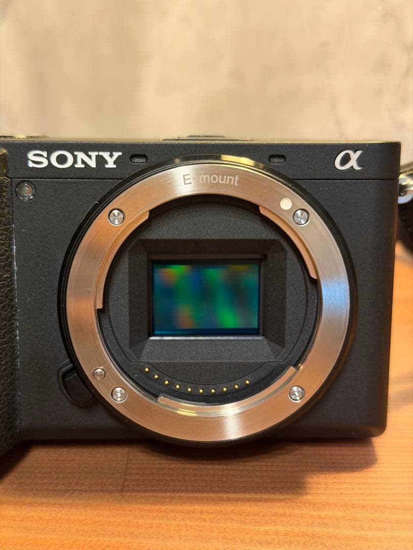 SONY α6600 レンズキット 18-135（ミラーレス一眼レフカメラ）