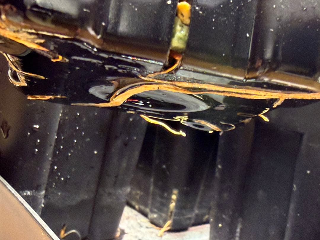 アガベ エボリスピナ× BB hybrid ハイブリッド【発根活着済】②