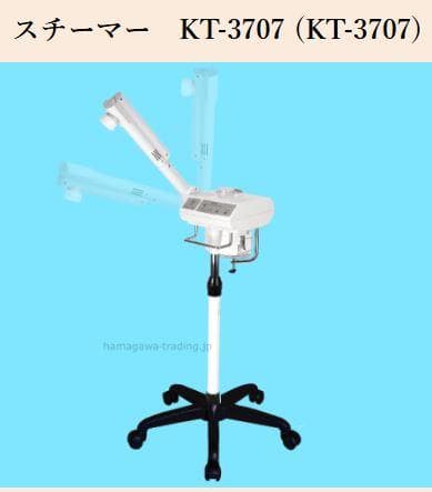 〈即OK〉エステスチーマー タイマー付 KT-3707 未使用