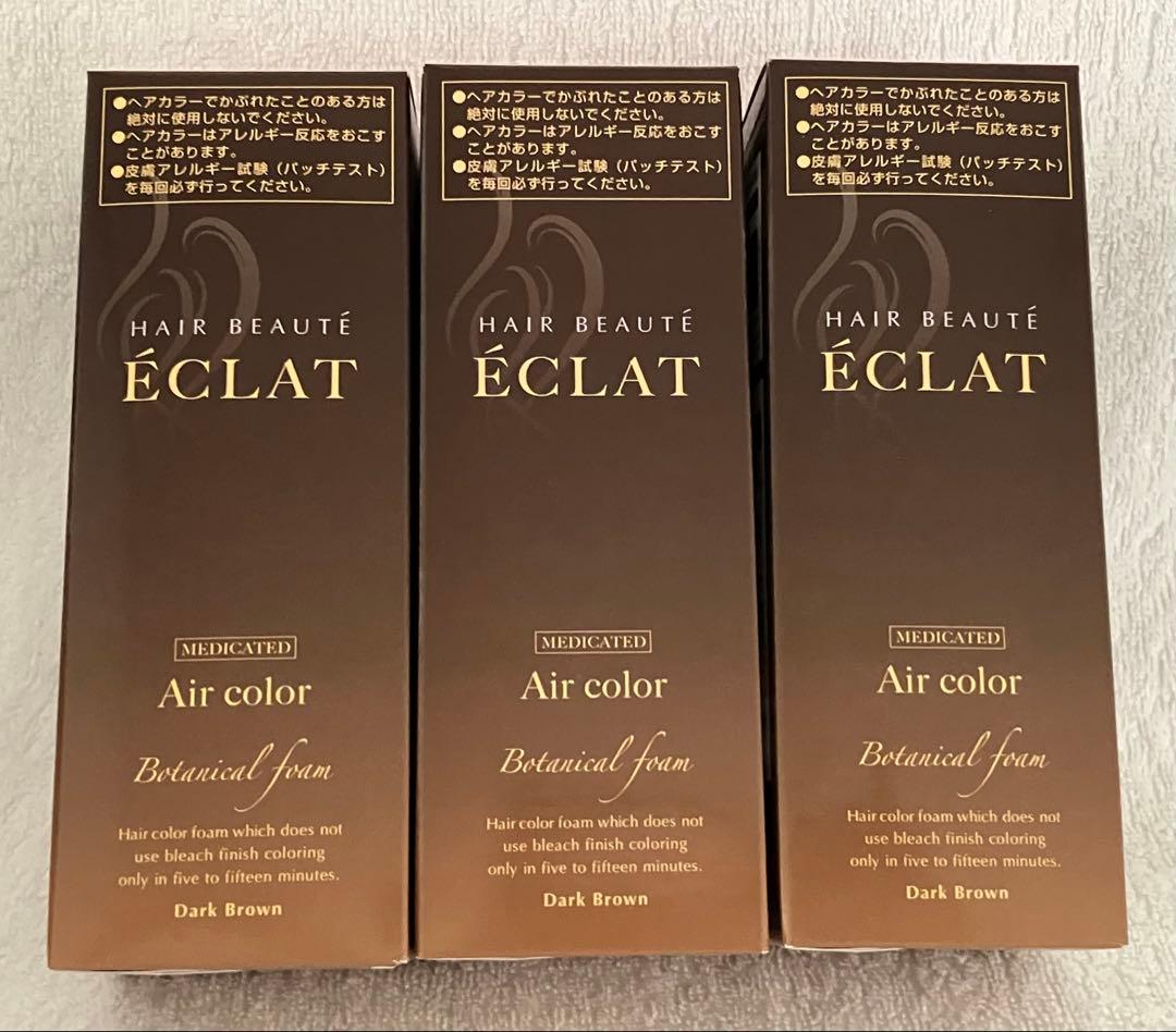 ヘアボーテ エクラ ボタニカルエアカラーフォーム　ダークブラウン80g×3本