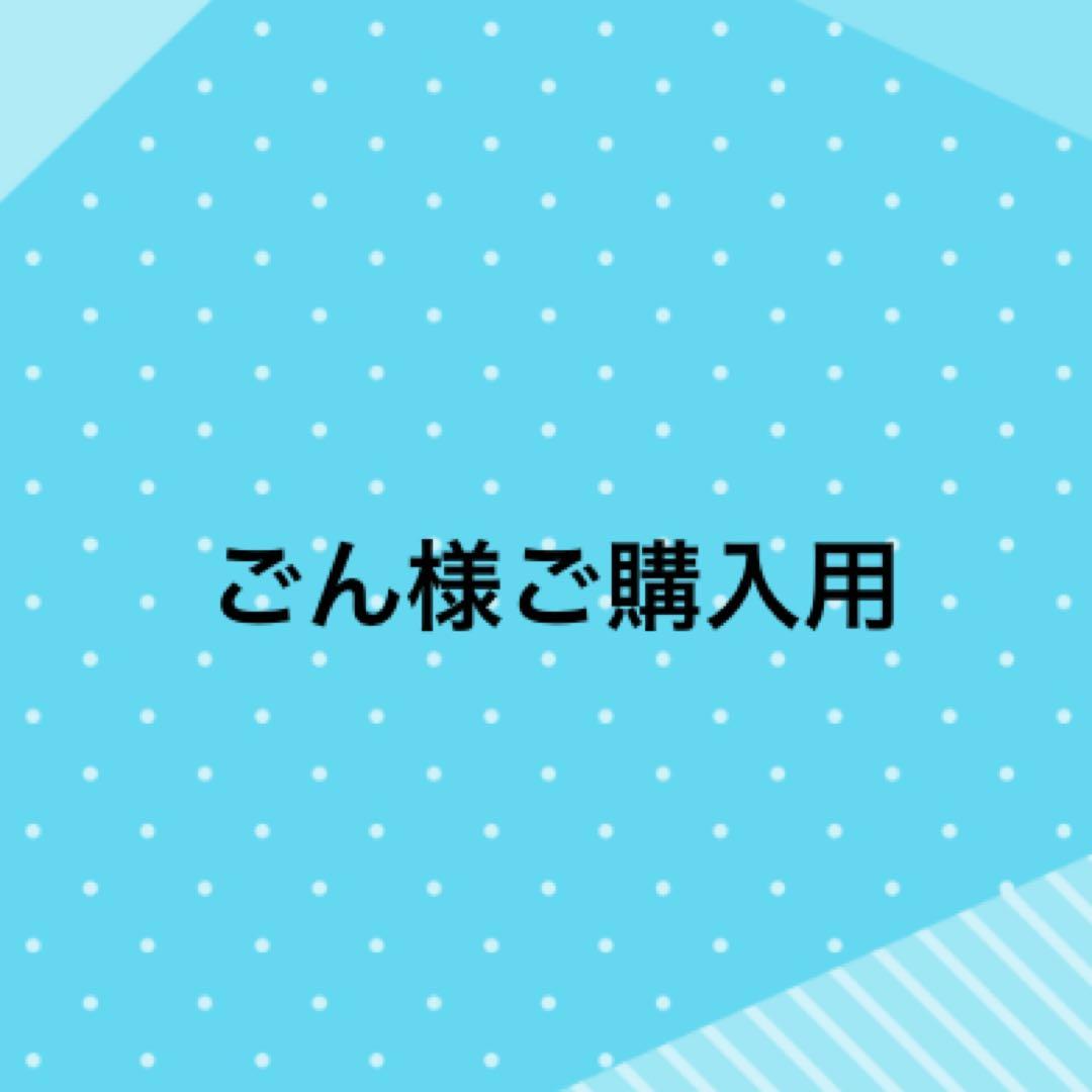 ごん様、ご購入用