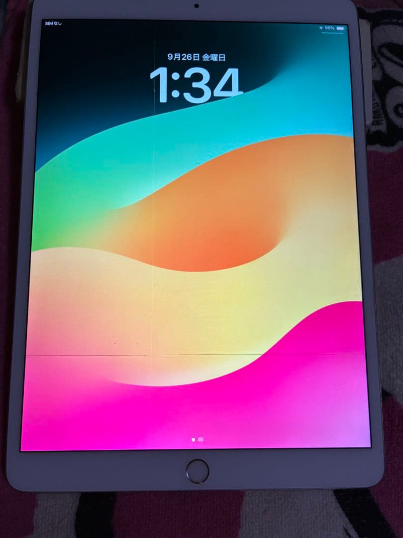 最終値下げ❗️iPad Pro 10.5インチ　本体