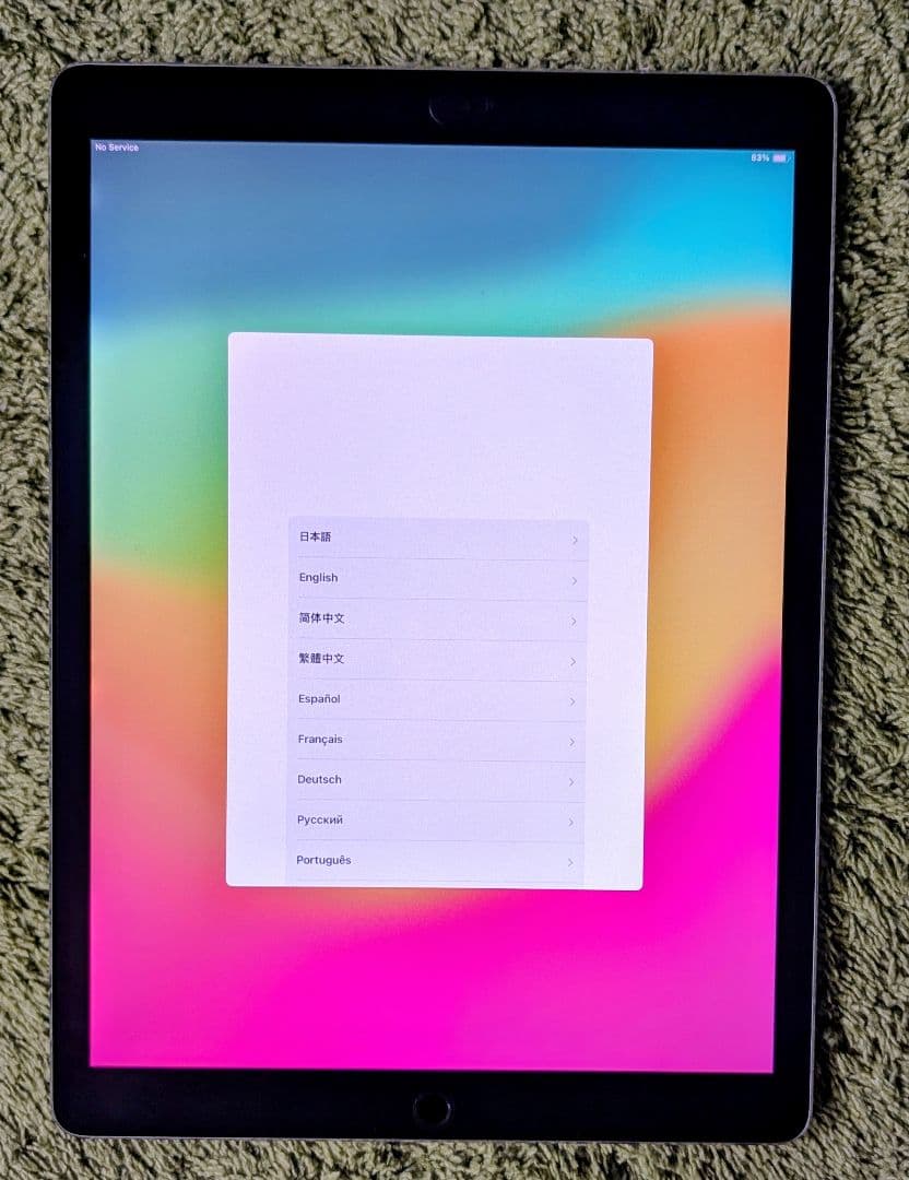 ✭iPad pro 12.9 第2世代 WiFi+Celluler