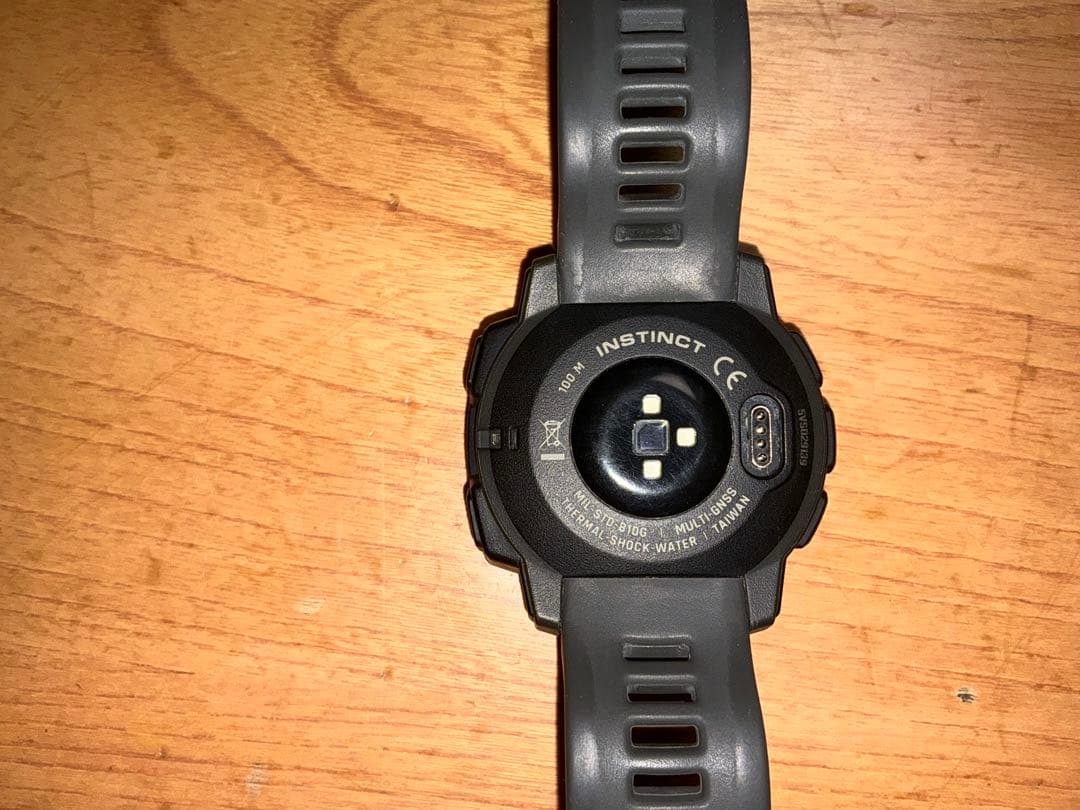 INSTINCT GARMIN サウナ