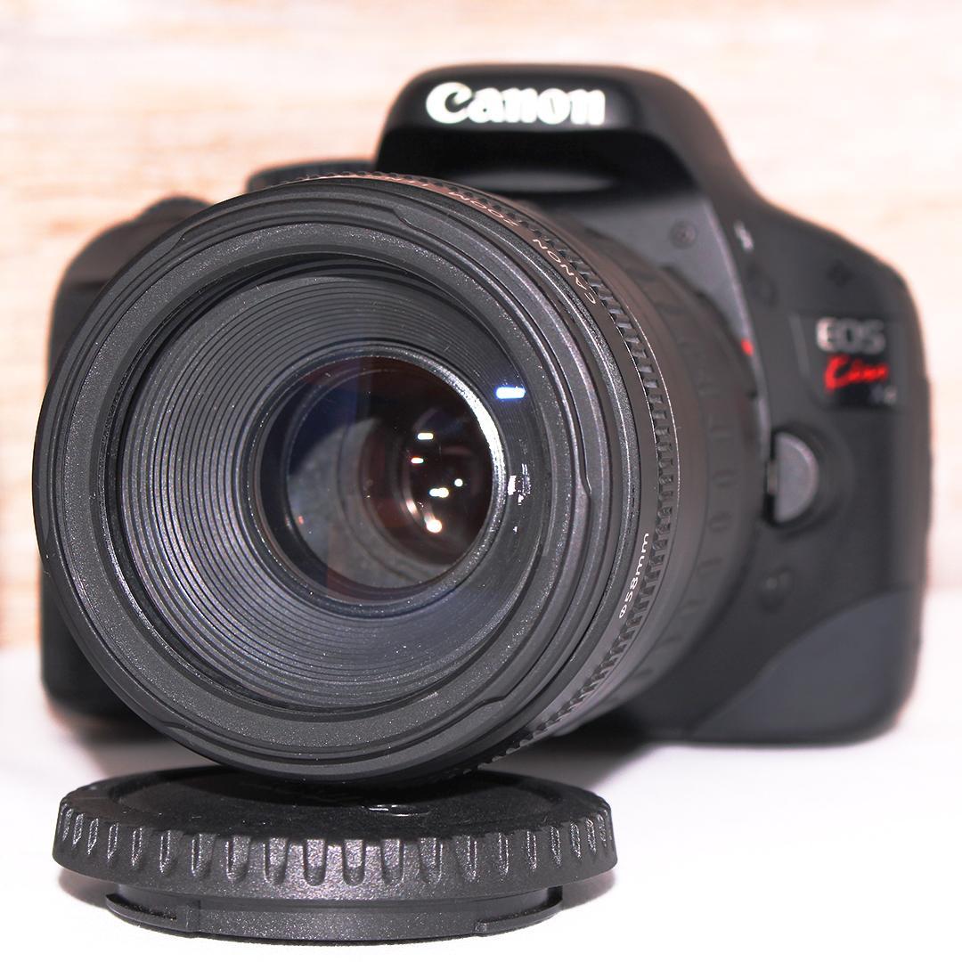 S数少⭐️キャノン Kiss X4✨超望遠レンズ付き❤︎初心者❤︎紅葉 vlog