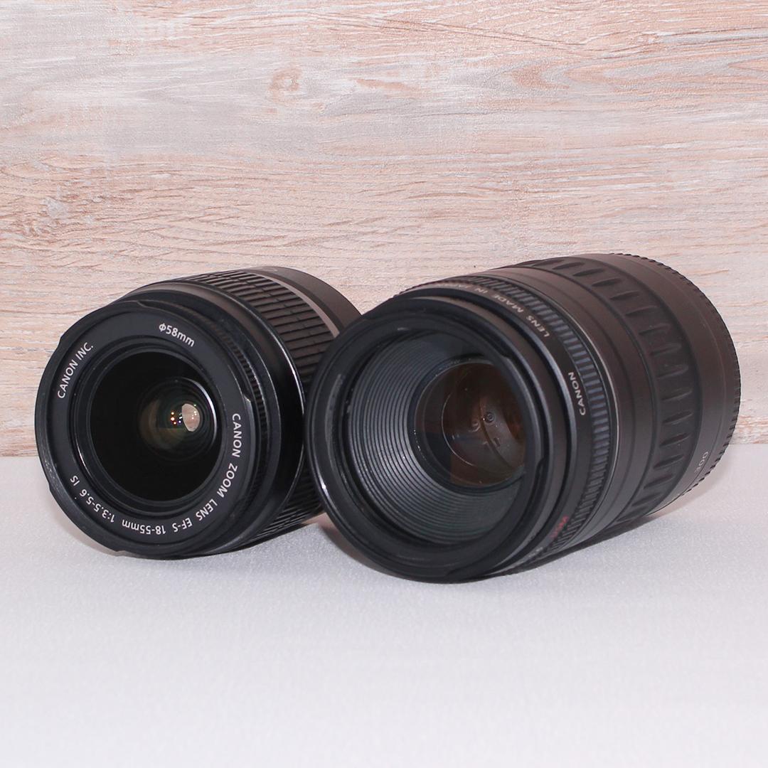 S数少⭐️キャノン Kiss X4✨超望遠レンズ付き❤︎初心者❤︎紅葉 vlog