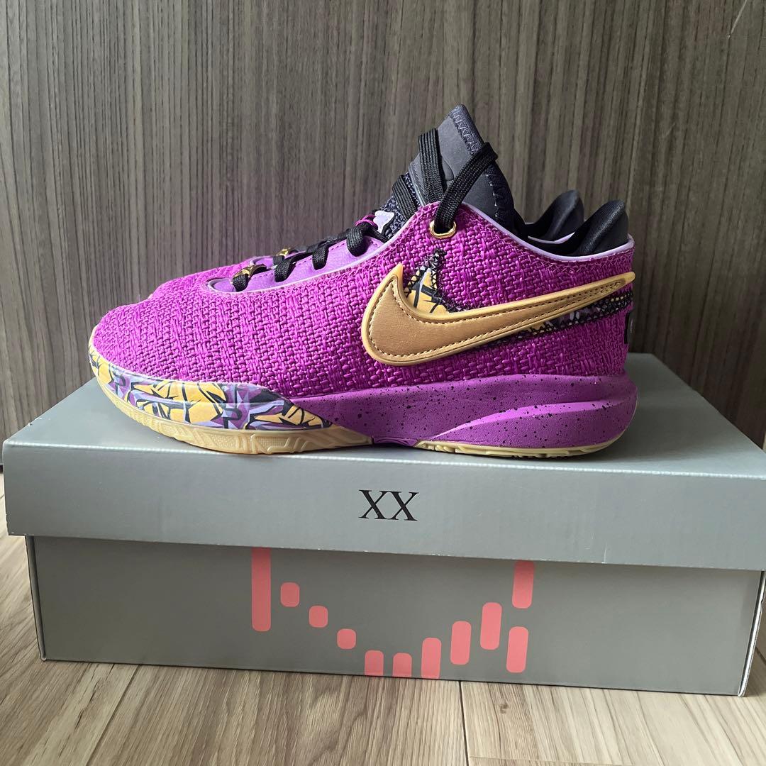 バッシュ　LEBRON XX SE (GS) 23.5㎝